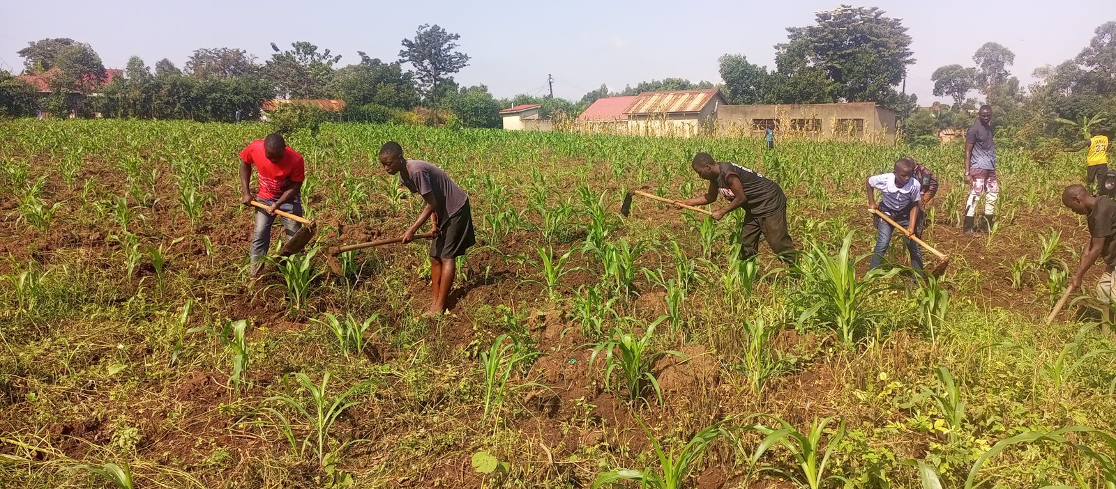 Health and Nutrition programme impact in 2025 – medical outreach